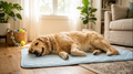 CoolPaw™ – Tapis Rafraîchissant Premium pour Chien & Chat